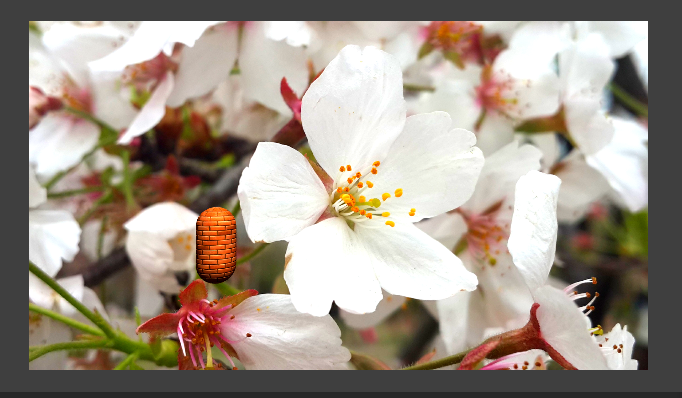 image 8 - 《Unity Shader入门精要》笔记：高级篇（1）